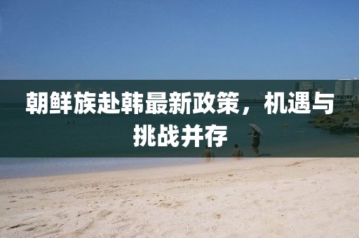 朝鲜族赴韩最新政策，机遇与挑战并存