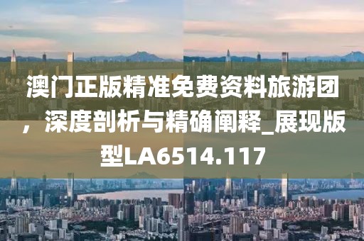 澳门正版精准免费资料旅游团，深度剖析与精确阐释_展现版型LA6514.117