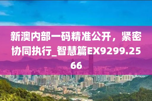 新澳内部一码精准公开，紧密协同执行_智慧篇EX9299.2566