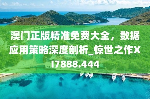 澳门正版精准免费大全，数据应用策略深度剖析_惊世之作XI7888.444