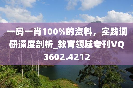 一码一肖100%的资料，实践调研深度剖析_教育领域专刊VQ3602.4212