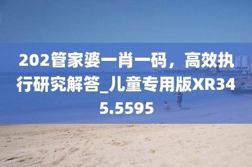 202管家婆一肖一码，高效执行研究解答_儿童专用版XR345.5595