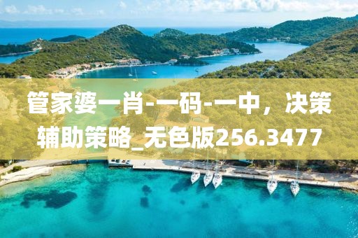 管家婆一肖-一码-一中，决策辅助策略_无色版256.3477