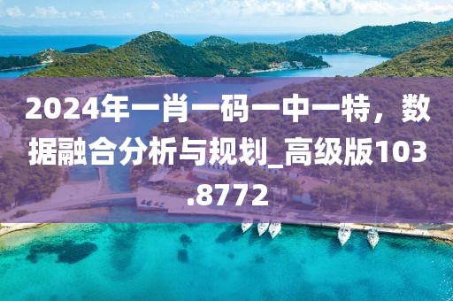 2024年一肖一码一中一特，数据融合分析与规划_高级版103.8772