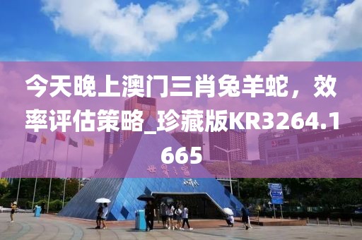 今天晚上澳门三肖兔羊蛇，效率评估策略_珍藏版KR3264.1665