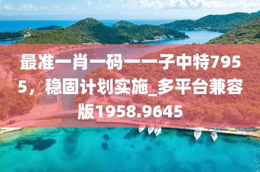 最准一肖一码一一子中特7955，稳固计划实施_多平台兼容版1958.9645
