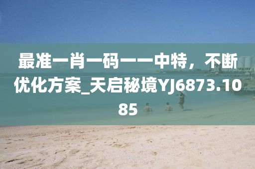 最准一肖一码一一中特，不断优化方案_天启秘境YJ6873.1085