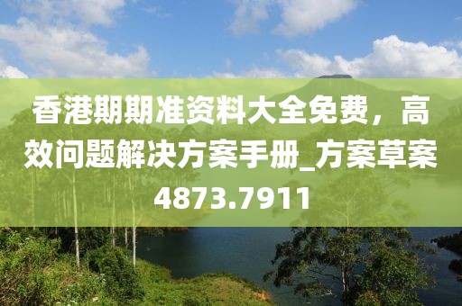 香港期期准资料大全免费，高效问题解决方案手册_方案草案4873.7911