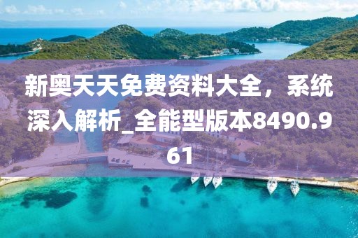 新奥天天免费资料大全，系统深入解析_全能型版本8490.961