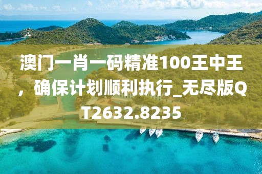 澳门一肖一码精准100王中王，确保计划顺利执行_无尽版QT2632.8235