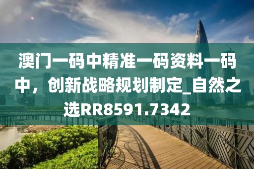 澳门一码中精准一码资料一码中，创新战略规划制定_自然之选RR8591.7342