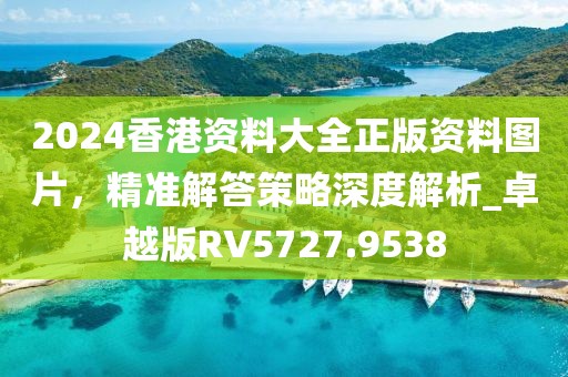 2024香港资料大全正版资料图片，精准解答策略深度解析_卓越版RV5727.9538