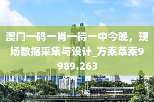 澳门一码一肖一待一中今晚，现场数据采集与设计_方案草案9989.263