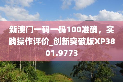 新澳门一码一码100准确，实践操作评价_创新突破版XP3801.9773