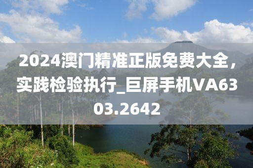 2024澳门精准正版免费大全，实践检验执行_巨屏手机VA6303.2642