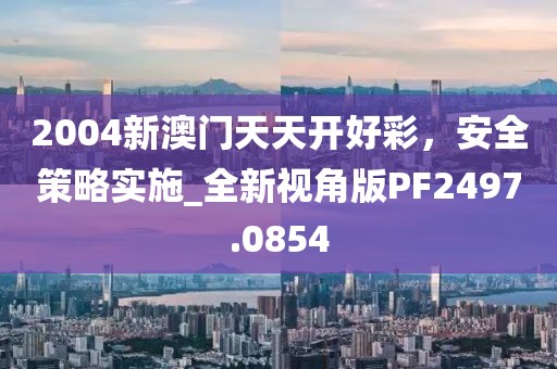 2004新澳门天天开好彩，安全策略实施_全新视角版PF2497.0854