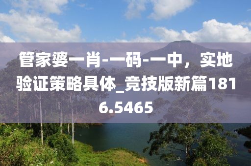 管家婆一肖-一码-一中，实地验证策略具体_竞技版新篇1816.5465
