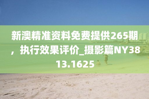 新澳精准资料免费提供265期，执行效果评价_摄影篇NY3813.1625