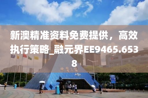 新澳精准资料免费提供，高效执行策略_融元界EE9465.6538