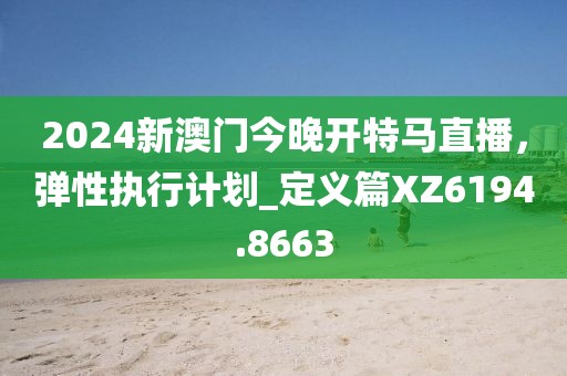 2024新澳门今晚开特马直播，弹性执行计划_定义篇XZ6194.8663