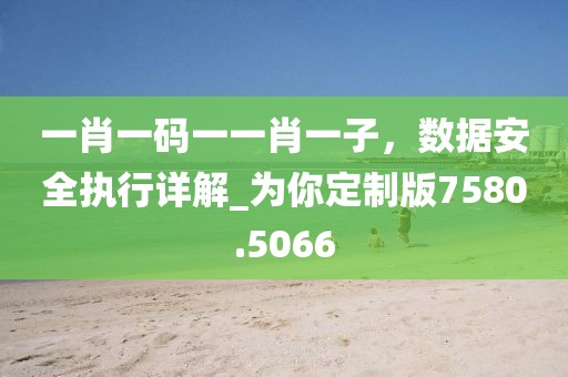 一肖一码一一肖一子，数据安全执行详解_为你定制版7580.5066