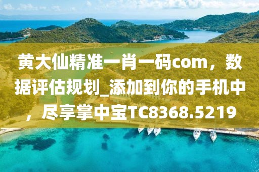 黄大仙精准一肖一码com，数据评估规划_添加到你的手机中，尽享掌中宝TC8368.5219