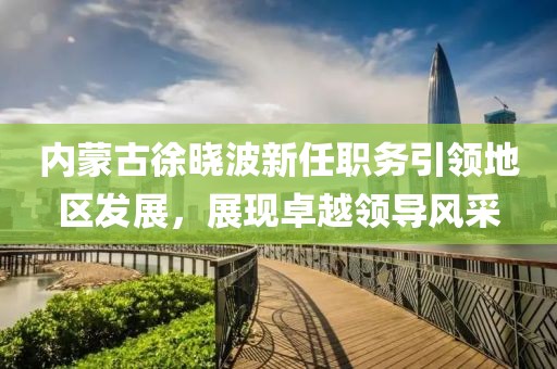 内蒙古徐晓波新任职务引领地区发展，展现卓越领导风采