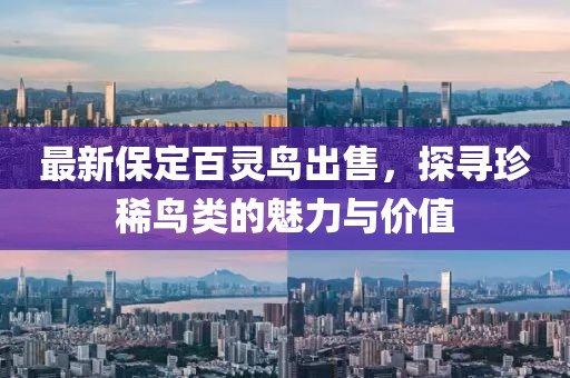 最新保定百灵鸟出售，探寻珍稀鸟类的魅力与价值