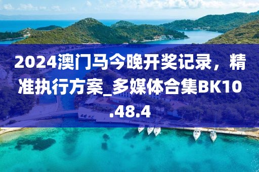 2024澳门马今晚开奖记录，精准执行方案_多媒体合集BK10.48.4