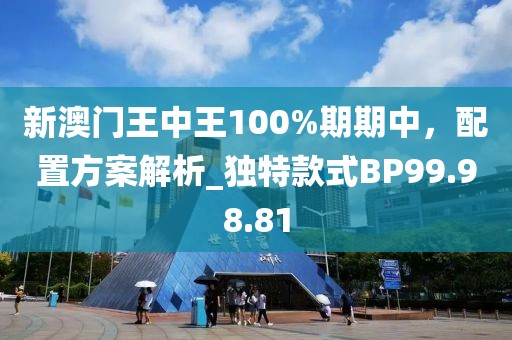 新澳门王中王100%期期中，配置方案解析_独特款式BP99.98.81