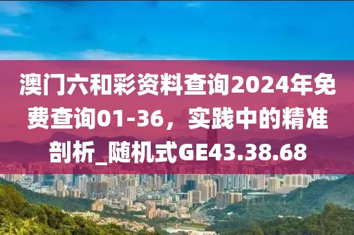 澳门六和彩资料查询2024年免费查询01-36，实践中的精准剖析_随机式GE43.38.68