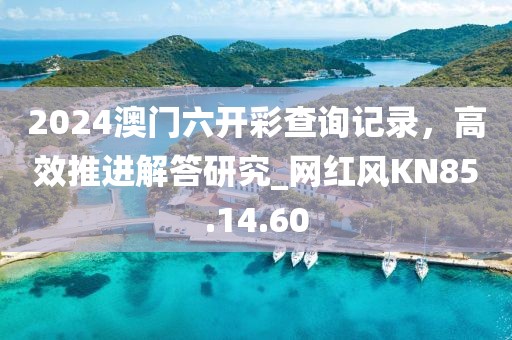 2024澳门六开彩查询记录，高效推进解答研究_网红风KN85.14.60