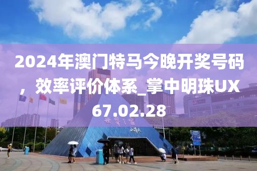 2024年澳门特马今晚开奖号码，效率评价体系_掌中明珠UX67.02.28