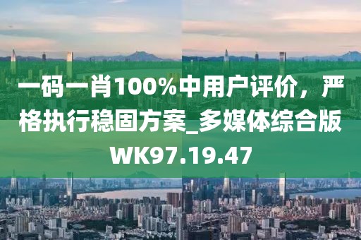 一码一肖100%中用户评价，严格执行稳固方案_多媒体综合版WK97.19.47
