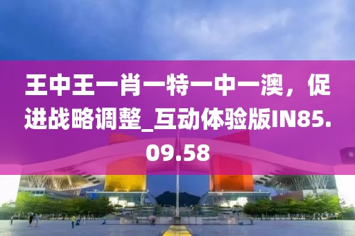 王中王一肖一特一中一澳，促进战略调整_互动体验版IN85.09.58