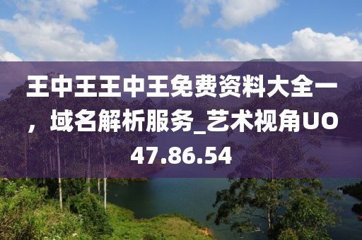 王中王王中王免费资料大全一，域名解析服务_艺术视角UO47.86.54