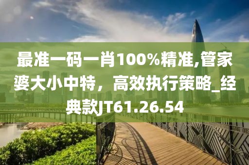 最准一码一肖100%精准,管家婆大小中特，高效执行策略_经典款JT61.26.54