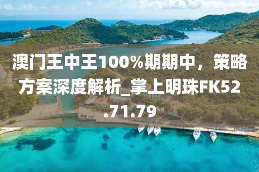 澳门王中王100%期期中，策略方案深度解析_掌上明珠FK52.71.79