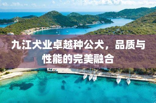 九江犬业卓越种公犬，品质与性能的完美融合