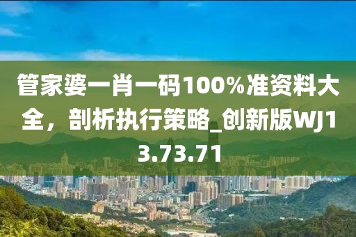 管家婆一肖一码100%准资料大全，剖析执行策略_创新版WJ13.73.71