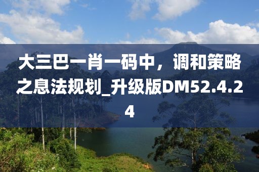 大三巴一肖一码中，调和策略之息法规划_升级版DM52.4.24