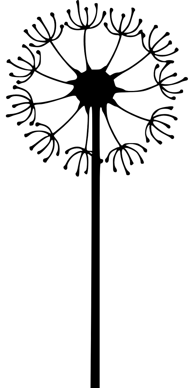 蓬曦园一手房最新出租动态