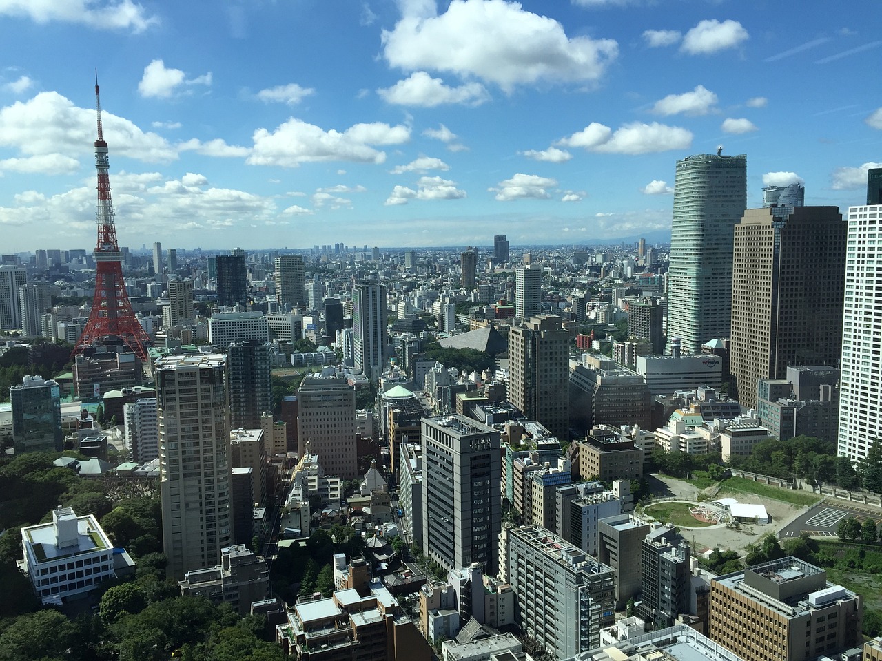 解决方案 第1041页