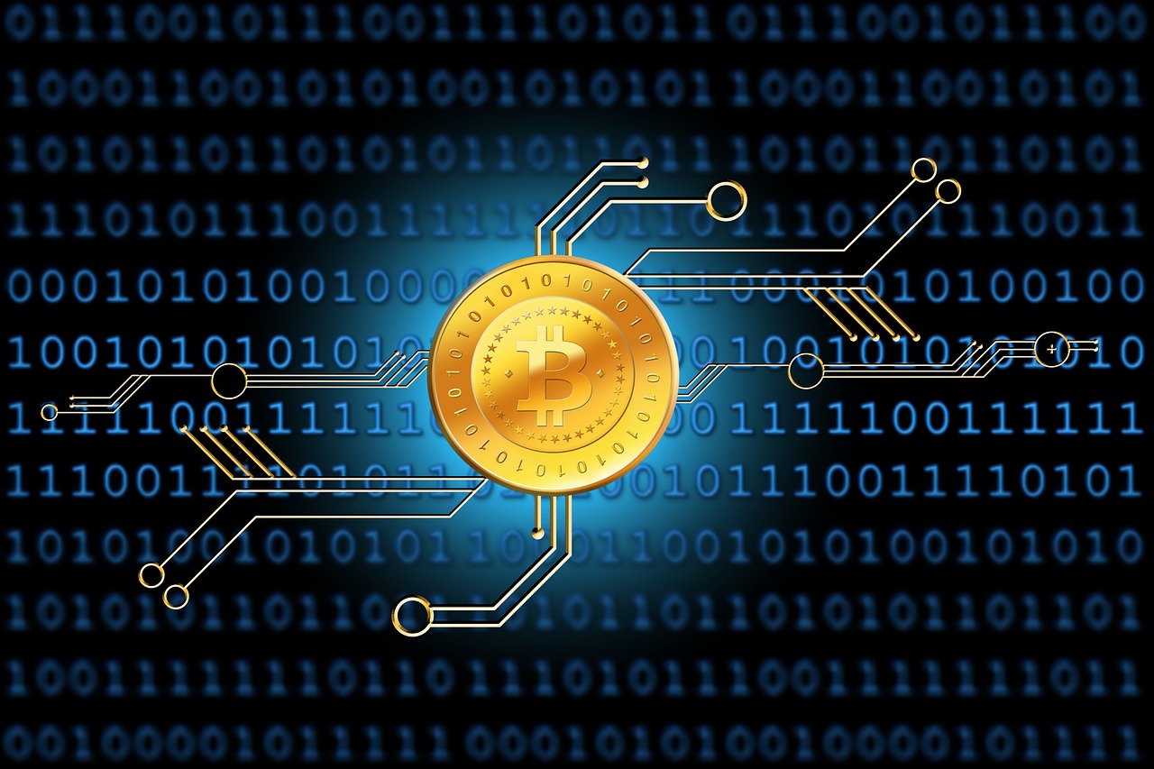 最新传染病分类及种类概述，全面解析传染病的世界