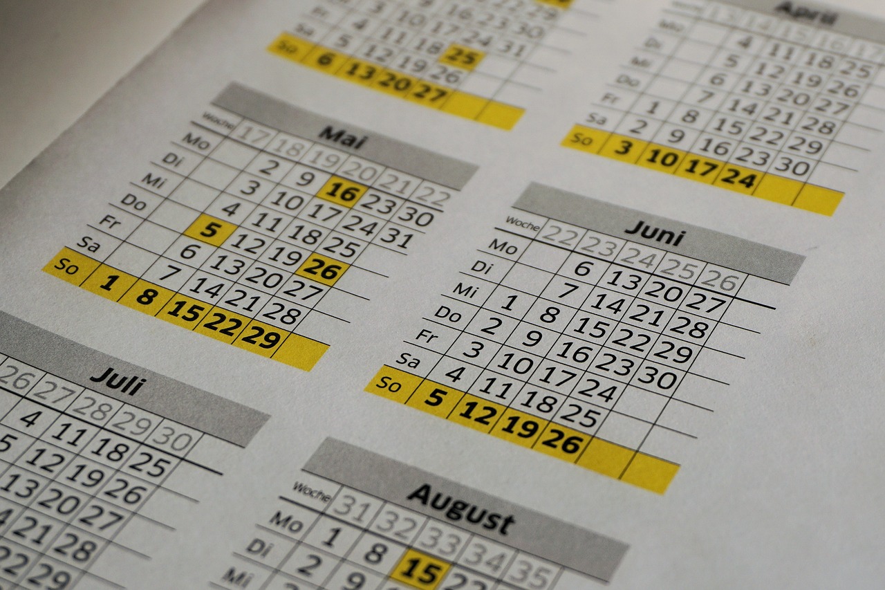 7777788888澳门王中王2024年，稳固执行方案计划，知识版331.0614