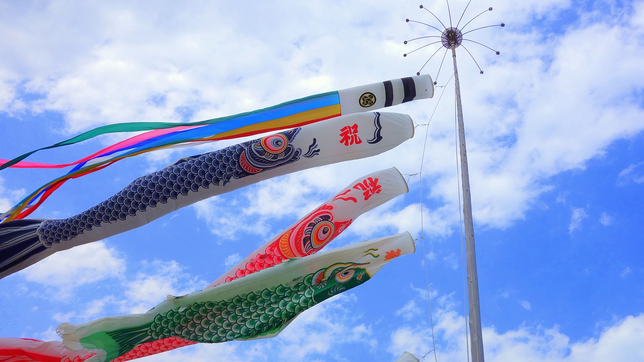湾里云舒花城最新动态揭秘，未来居住新篇章开启