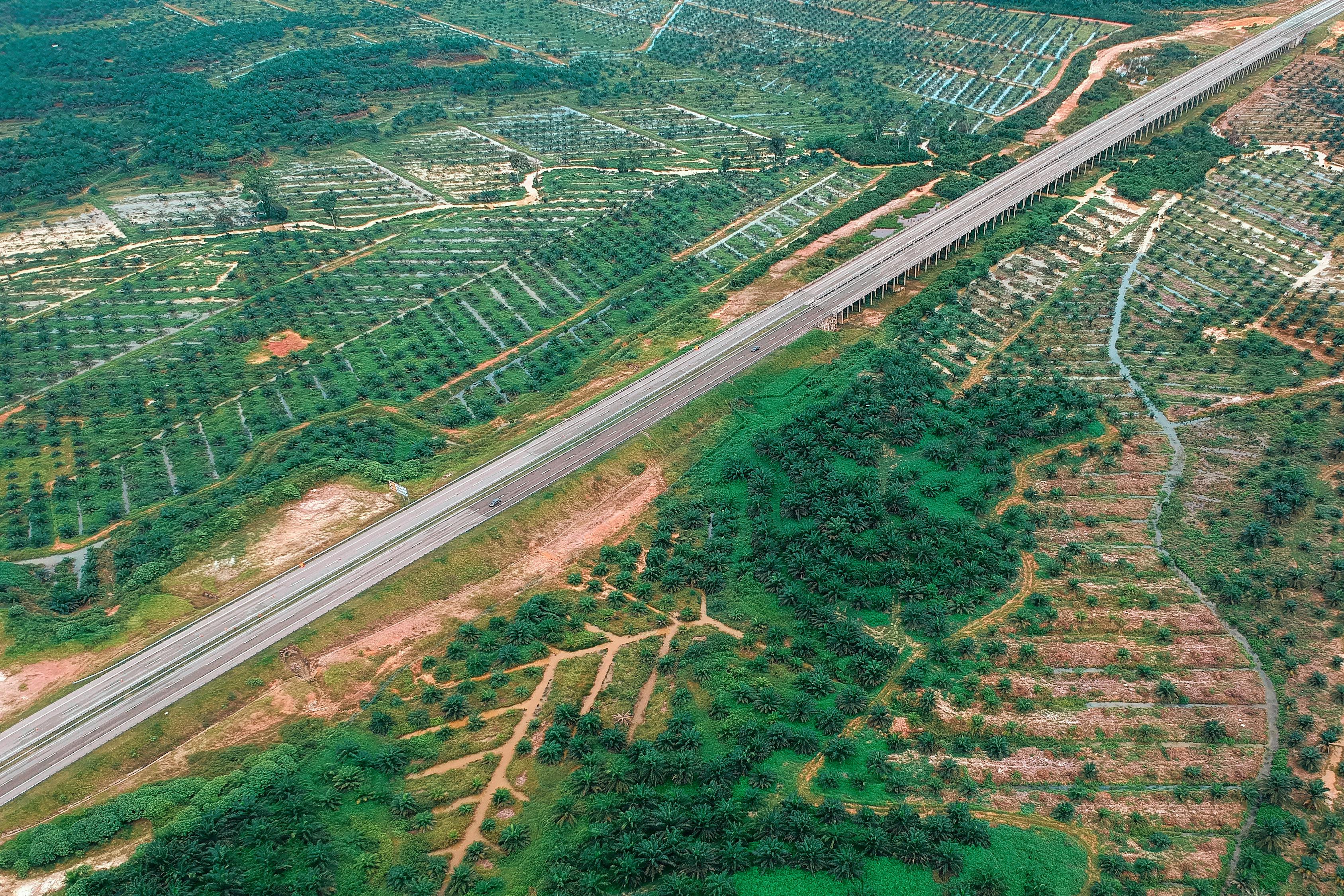 沾会高速公路最新进展报告更新，建设进度一览