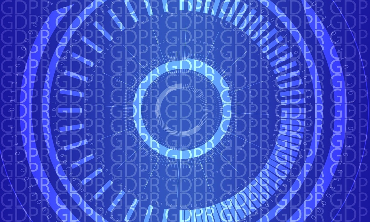 2024新澳门王中王正版,数据解读专业路径_永恒版LL6788.7339