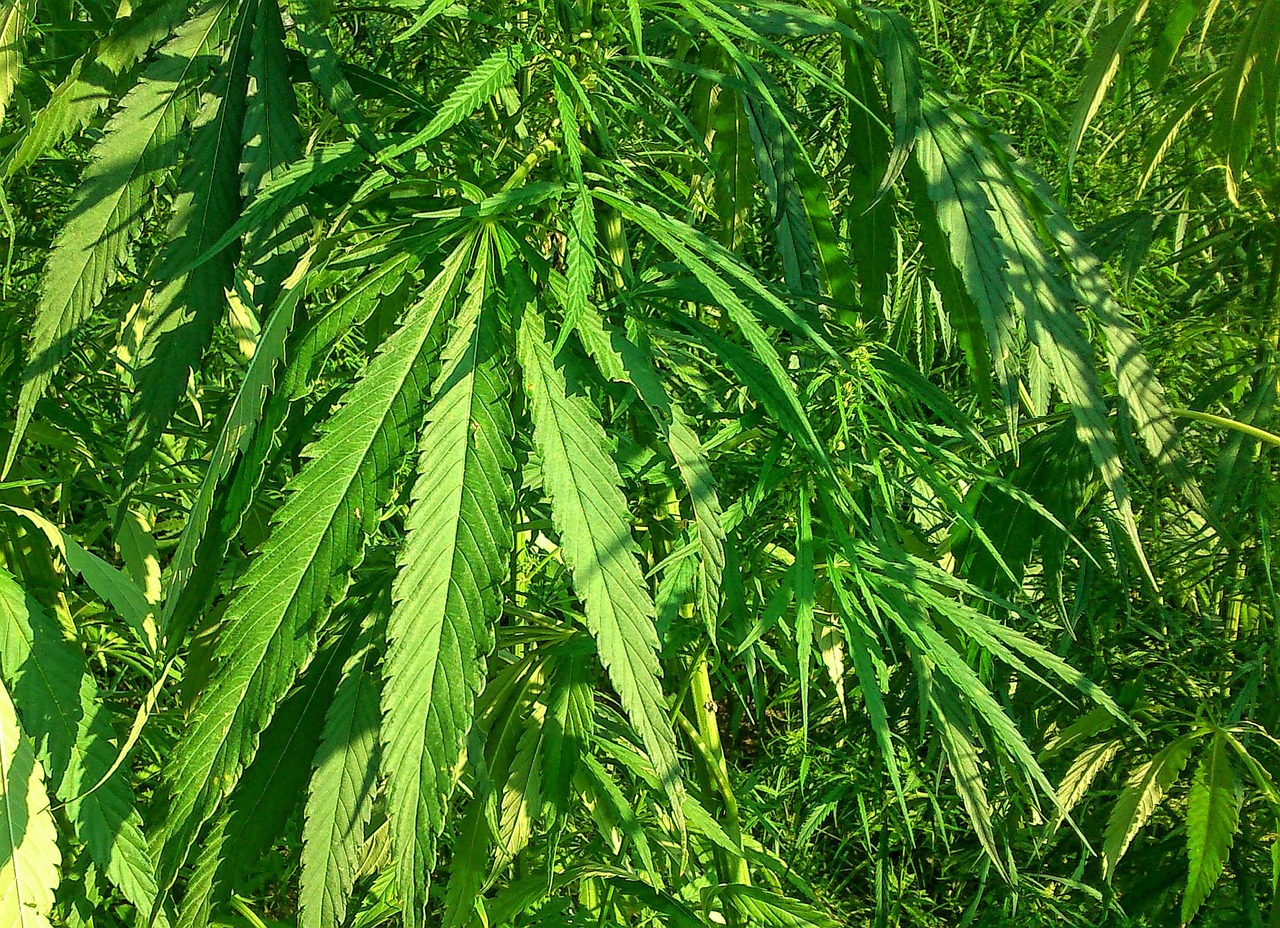 万达A股上市最新动态，企业上市进展全面解析与前景展望