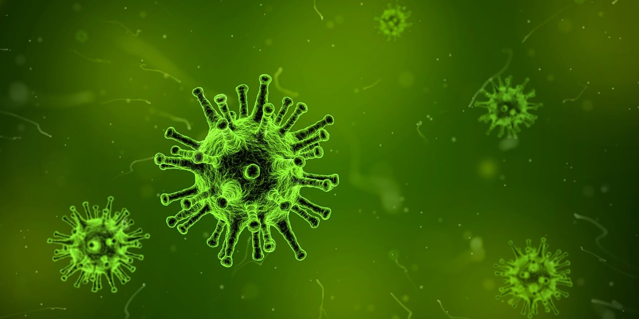 H7N9病毒感染死亡病例最新报道